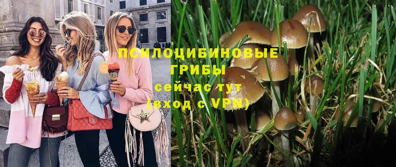 сколько стоит  Яровое  даркнет телеграм  Галлюциногенные грибы Magic Shrooms 